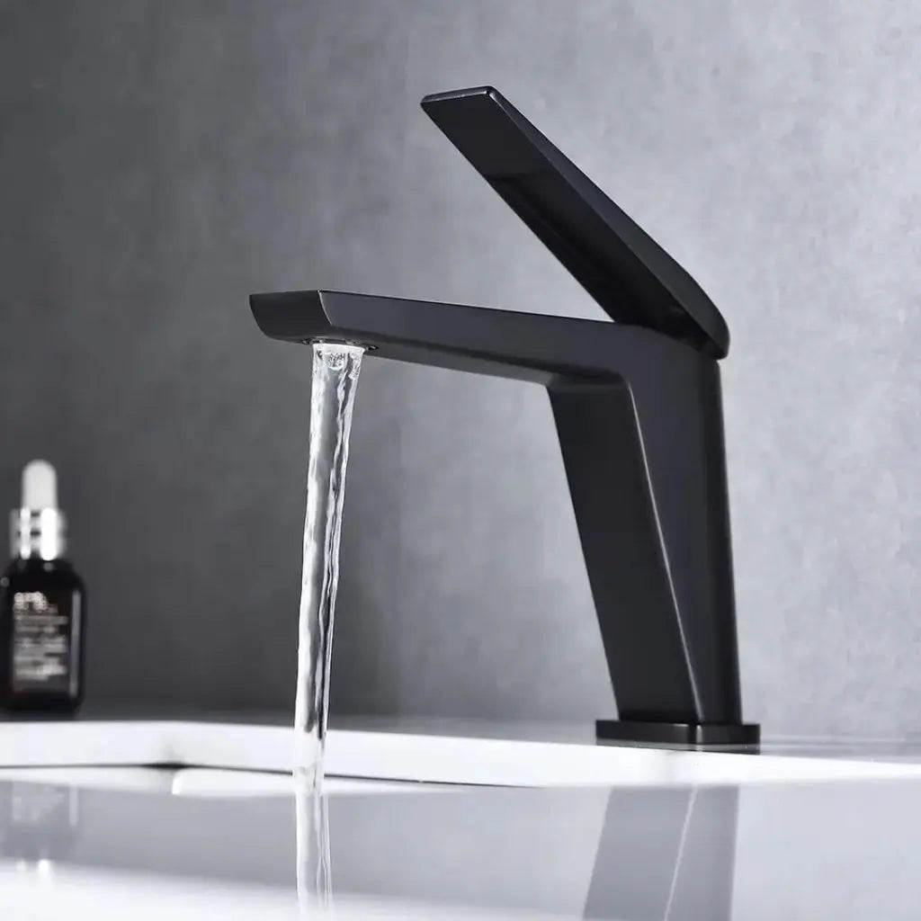 Sardıcı Premium Series Lüx Fent Siyah Lavabo Bataryası Musluğu Çift Su Girişli Siyah Kaplama 5 Yıl Garantili SARDICI